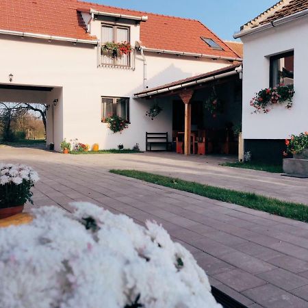 Отель Casa Badea Riu Alb Экстерьер фото