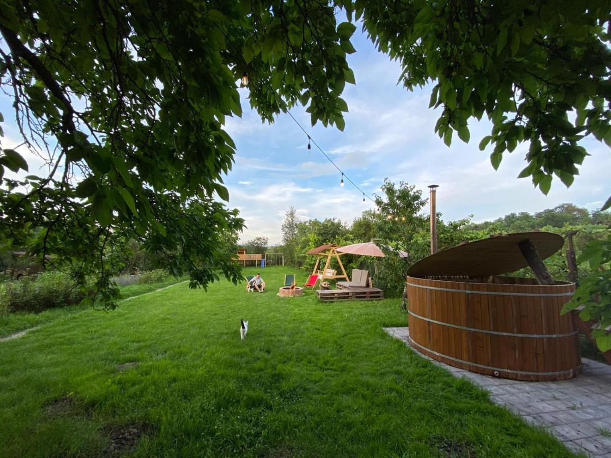 Отель Casa Badea Riu Alb Экстерьер фото