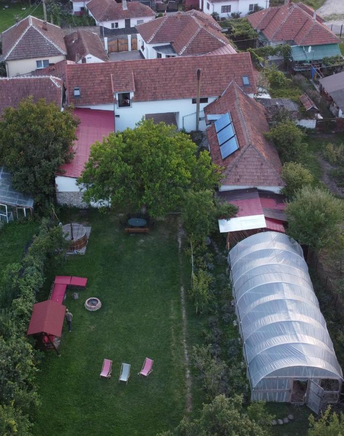 Отель Casa Badea Riu Alb Экстерьер фото
